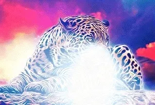 Item #54658049979898971032355539673876588794277822125732617114510633358613859532850 Media