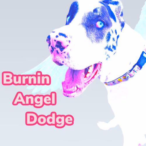 Item #15794007923744964589463280162252880392984187578375107792652798237797987123201 Media