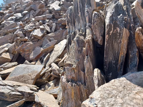 Item #32708508987210996203505439108186848896243903998336501445034175502429836017665 Media