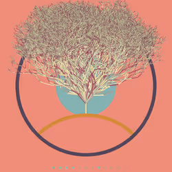 74168867016011539093366687608765447348507224284888477074887990565401132007425