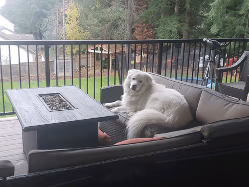 Item #103020862567535420240418147599059965536628872288157025643213102590072232869889 Media