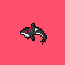 Crypto Whale #29
