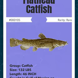 43502264269384842523243150070095810631836830099831581701628991972452153163777