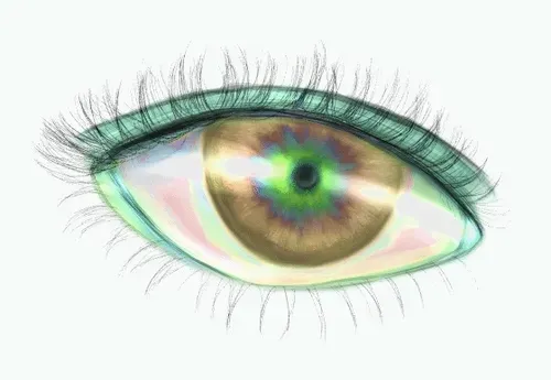 Item #42950694591796666568266939449637019646211598636303907727097118061707476860929 Media