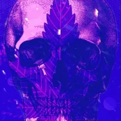 Wierdo Skull Darkness #200
