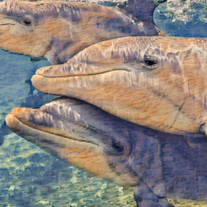 Item #39800324863389322776906793447436645107867592537882393143685198603608588812289 Media