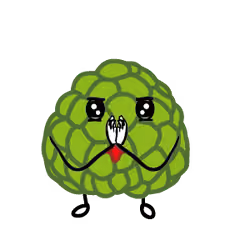 SugarApple Man 17