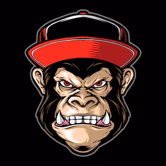 Item #67217545335496974056275281731826466771421458450474255317525143615578635763732 Media