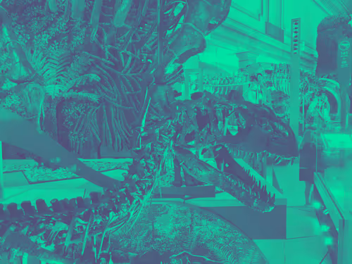 Item #104151926418677363759303450577441756629936009992425548926010600554781766320129 Media