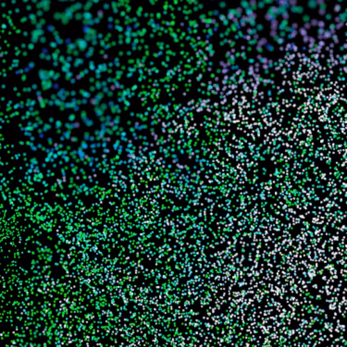 Item #88208655055871261960129437524118504800489196864708373592270836142813388734465 Media