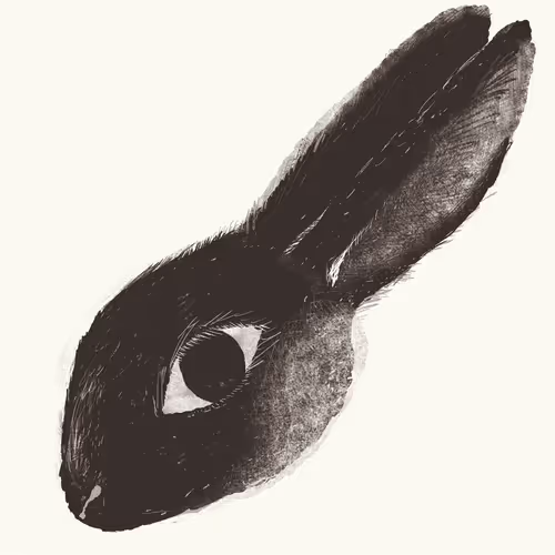 Item #85958577837238121956904946146282691386583578196809181446220191426113876000769 Media