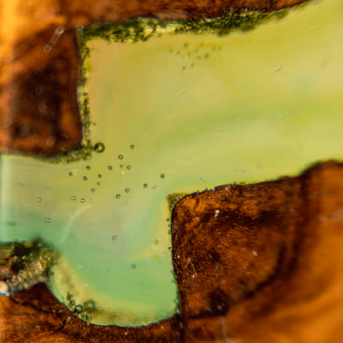 Item #8251270981130702250905355697814279819197198943221984468281114949187878780929 Media