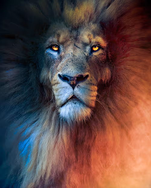 Item #113521178305738834012148518391550550346987699669126125358931063139214146142708 Media