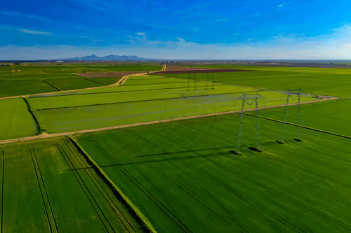 Item #1864235862486587087410937482126233260088053295403624046406936175787255005185 Media