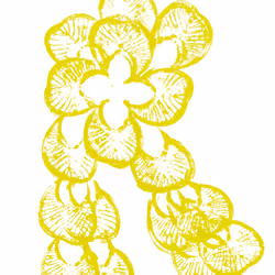 114976545493241493257487804566862386491239486968085247361465237104153375801345