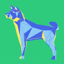 Shiba #7