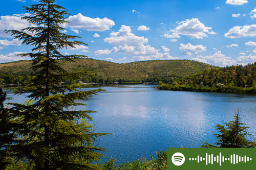 107978139147131831661941634405889412338959910345453465515168770626221070352385