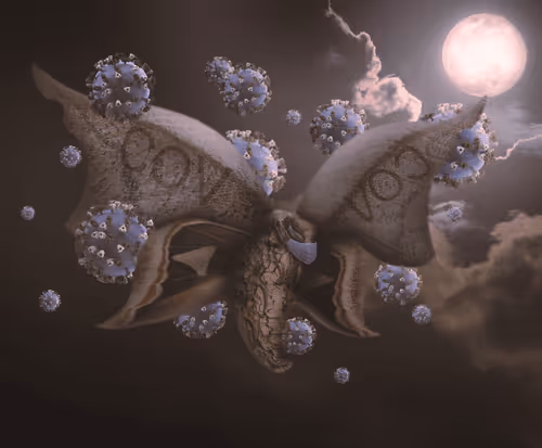 Item #100099012208834709371372537326673750598205642961007601030192339349192021377025 Media