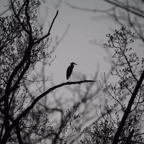 9260538880738646448046418891529255088625136826813512017686583775323760885860