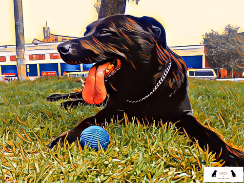 Item #10567450016853403337930259676618451783682953632793231315200837909693920706561 Media