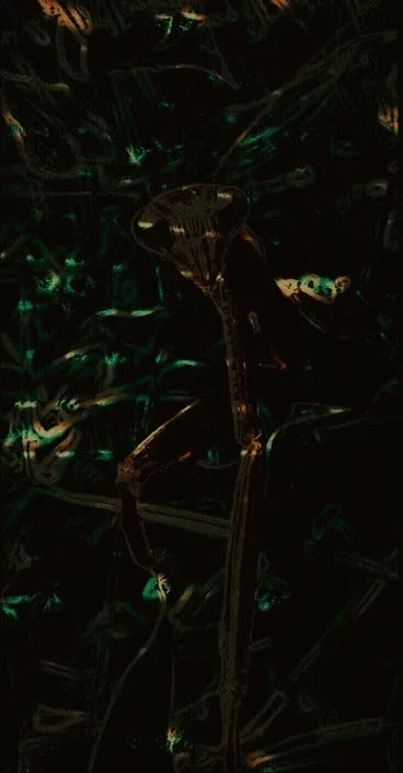 Item #91435039716910085341208423554579179297859495390497107569057972223639289856001 Media