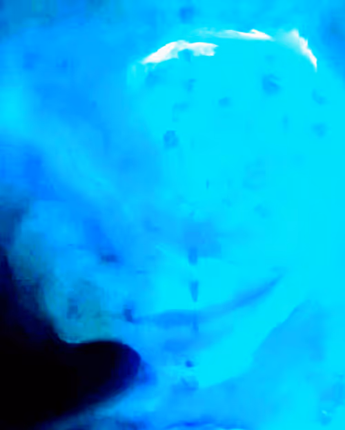 Item #50313157872173577496971624167939776617266702773475144700563858013029190860801 Media