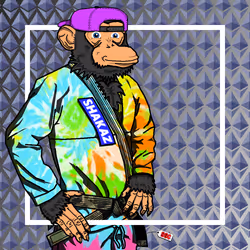 56013414916040467568860706043990986693245727030480677146115349967041669890049