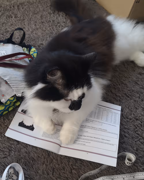 Item #13161020314009032005485822086301964352885579695205061807387255112408466718721 Media