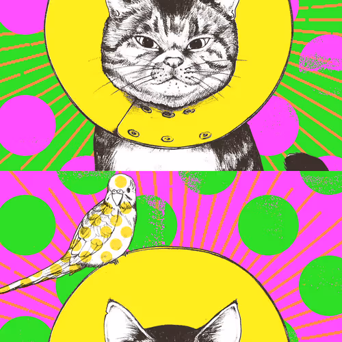 75504568957216009271532412225991883014141589967078103544589205074700771786753