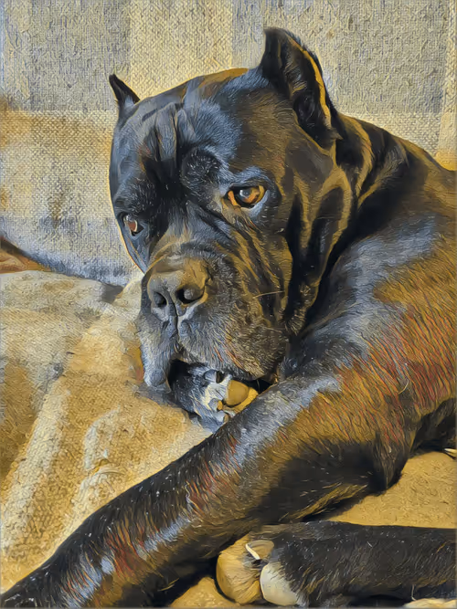 Item #37182515887132438156716547995651835477676529273037928400733563059906541518849 Media