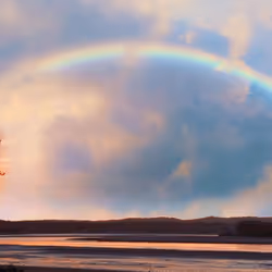 108175385754913638577213036180834446424025282254093362741569171463126508371969