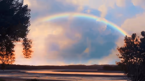 Item #108175385754913638577213036180834446424025282254093362741569171463126508371969 Media