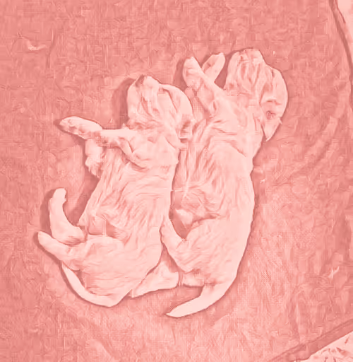 Item #49775347469148338497975615295710857595953595610684904343872467228230483443732 Media