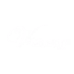 Vstay_new_logo_white