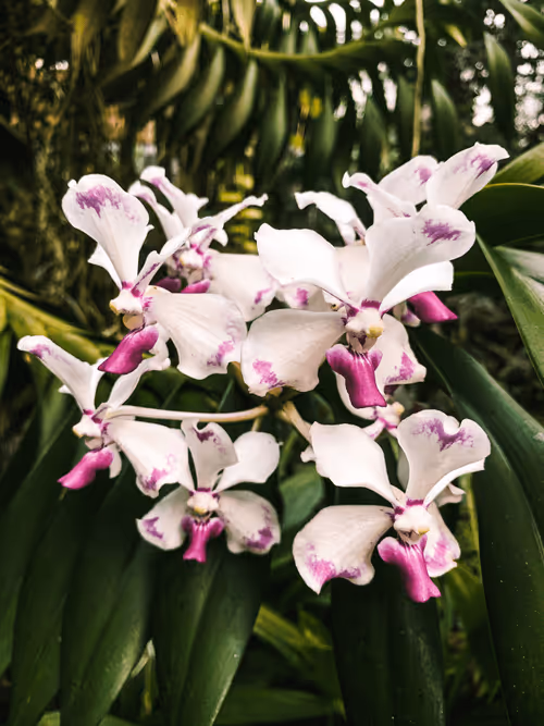 Item #108333172836631629328696584714053398631603269563571358519615745324010801463297 Media