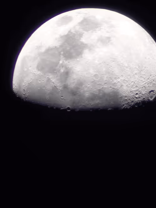 Item #78774018974347764357765192518377150739749637856503949941232678349004353830913 Media