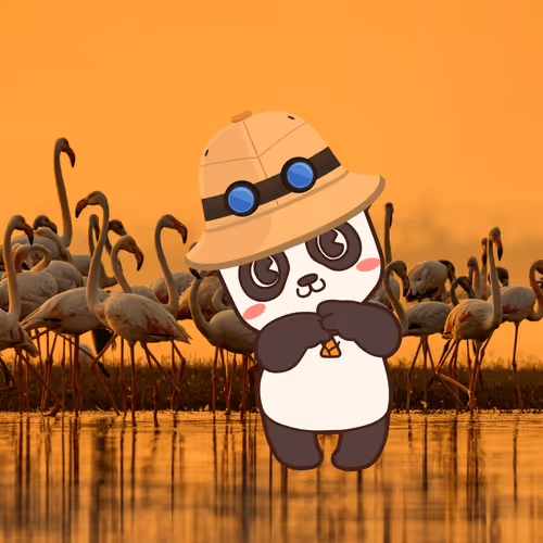 Item #69363473366648410264906683075267481008558069801490293392971221930398873288714 Media