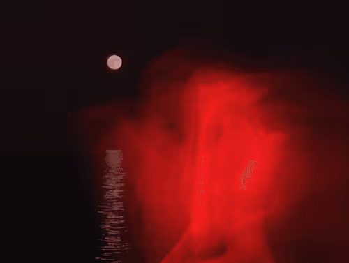 12673469450240063956938335292171070477306277529966761617338988949343318310913