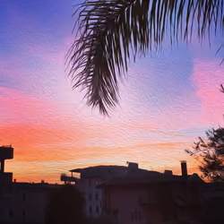 Sunset Birds