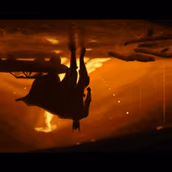 The Bat rises from the Flames 