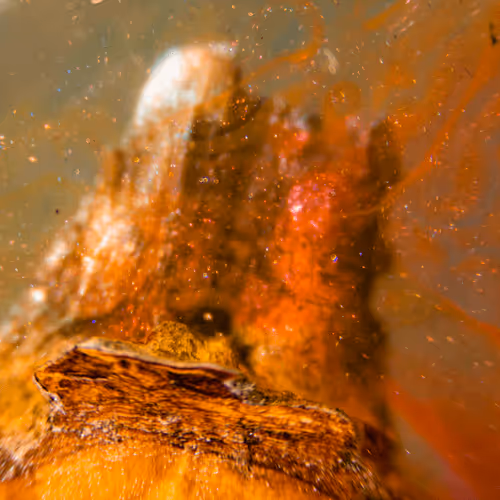 Item #8251270981130702250905355697814279819197198943221984468281114915103018319873 Media