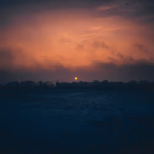 Seasonal #36