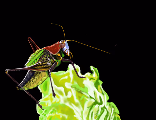 Item #78734824966403135947097540371630003060449633792958722417954054734334430019585 Media