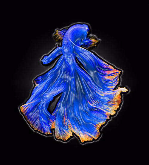 Item #73423654428024661336379470947819889295714855264791127270755008410494353539111 Media