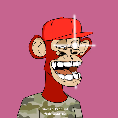 Untitled Collection #3538175930