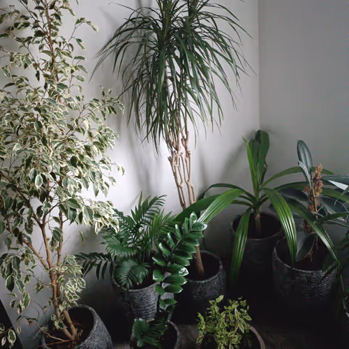 101718684229582290600979593561786074683960997211821393443382021882338831499265