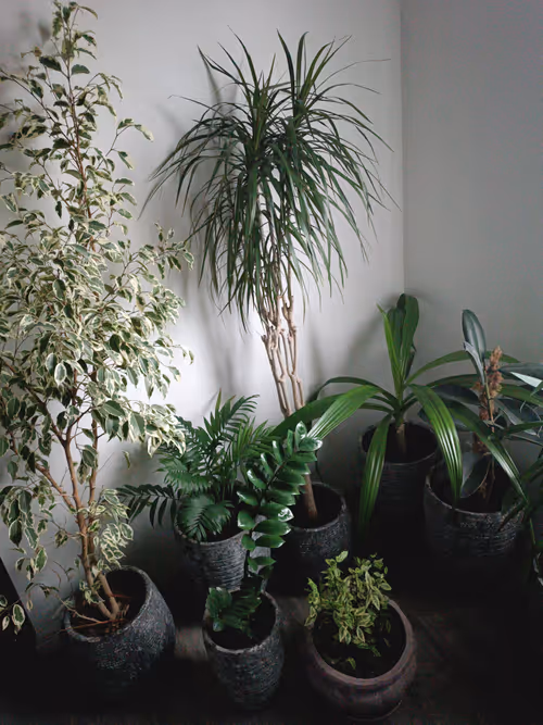 Item #101718684229582290600979593561786074683960997211821393443382021882338831499265 Media