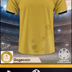 #13 Dogecoin Home