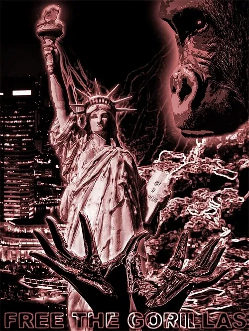 Item #48790520787155310426102062731270564561928034817995506544027698527159139172852 Media