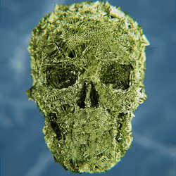 47176454807076825679431215681833454926344141321117842083750283397329332469761